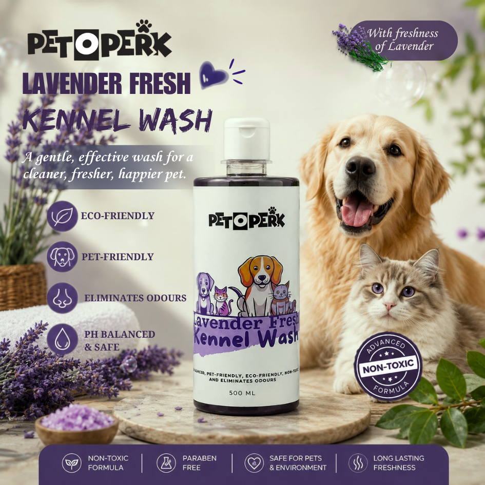 Lavender Kennel Wash